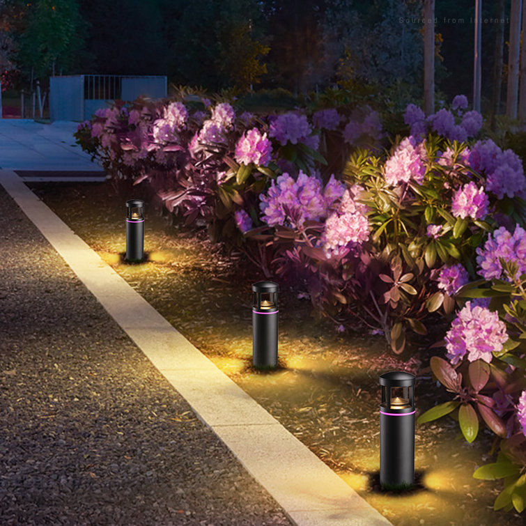 LEONLITE RGB LED Pathway Lights 12V AC DC LED Landscape Light